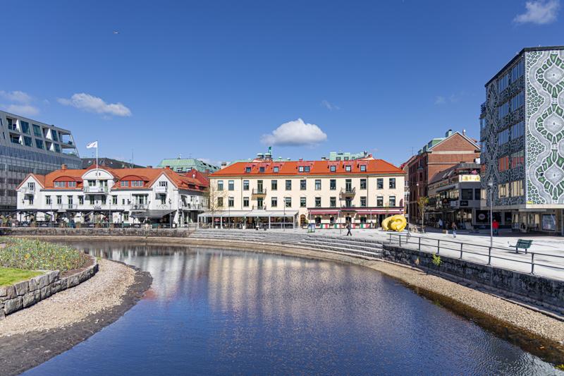 Vad vi bidrar med