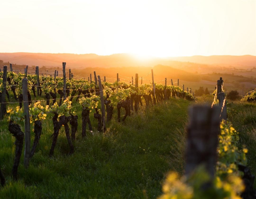 Lyft ditt styrelsearbete till nästa nivå
